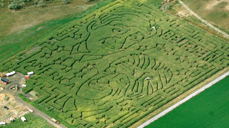 Illustration for article titled 23 Amazing Labyrinths To Get Lost In